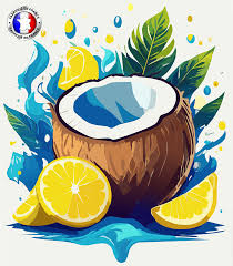 PRECOMMANDE Fondant parfumé Coco Crazy