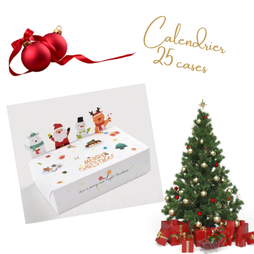 PRECOMMANDE Calendrier 25 cases