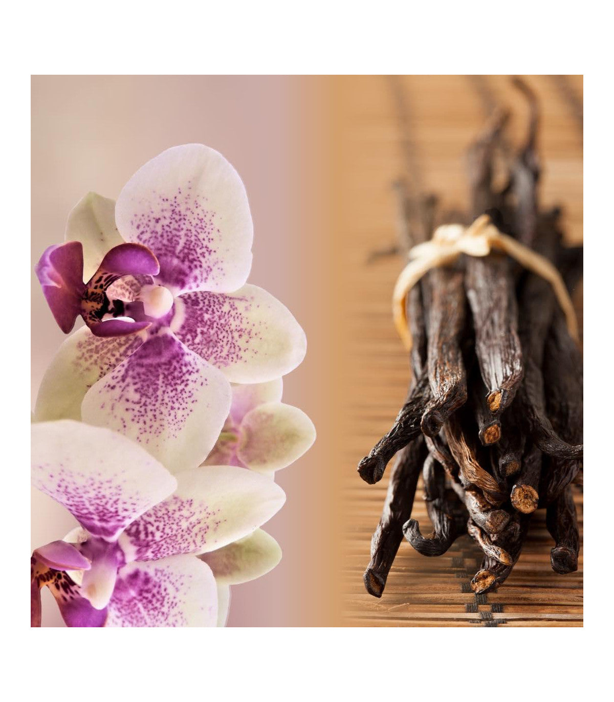 Fondant parfumé Orchidée vanille