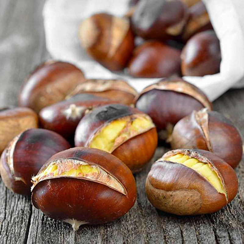 Fondant parfumé Marron Chaud