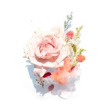 Fondant parfumé Musc Rose