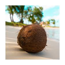 Fondant parfumé Plage Coco