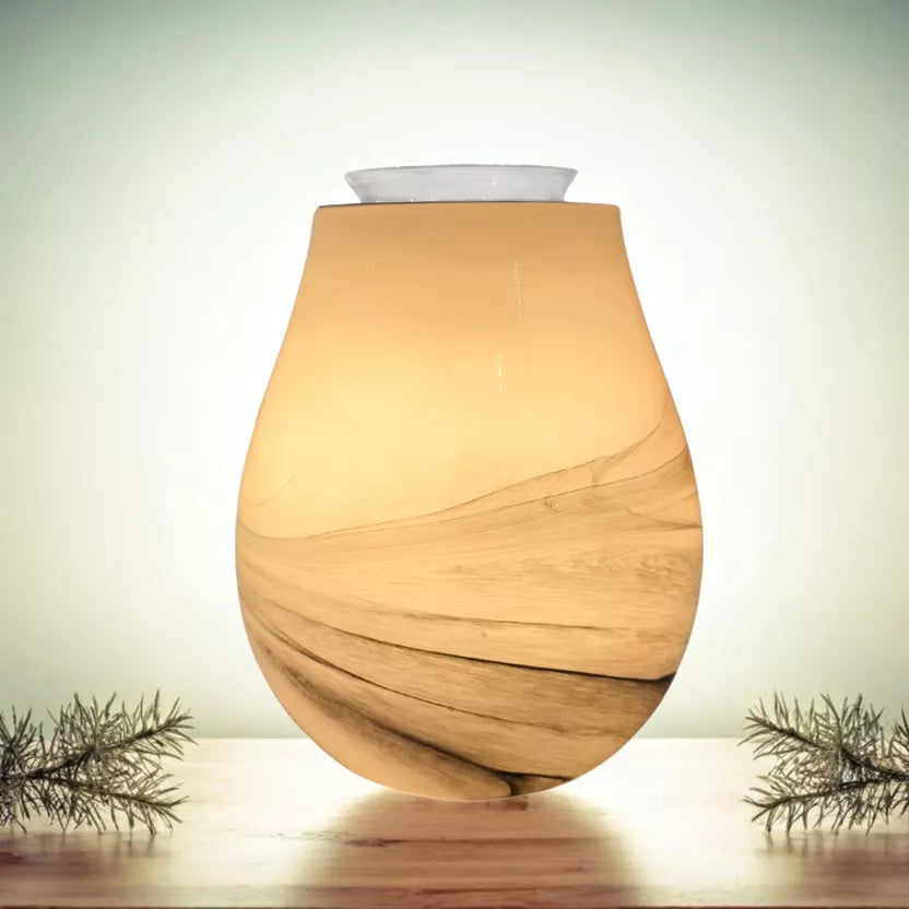 Brûleur électrique Calorya n°11