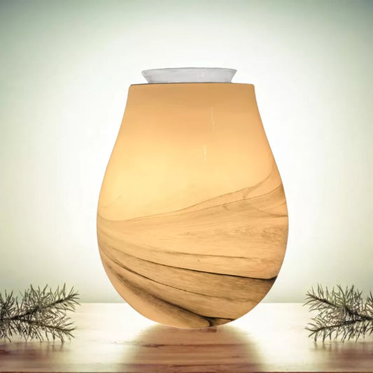 Brûleur électrique Calorya n°11