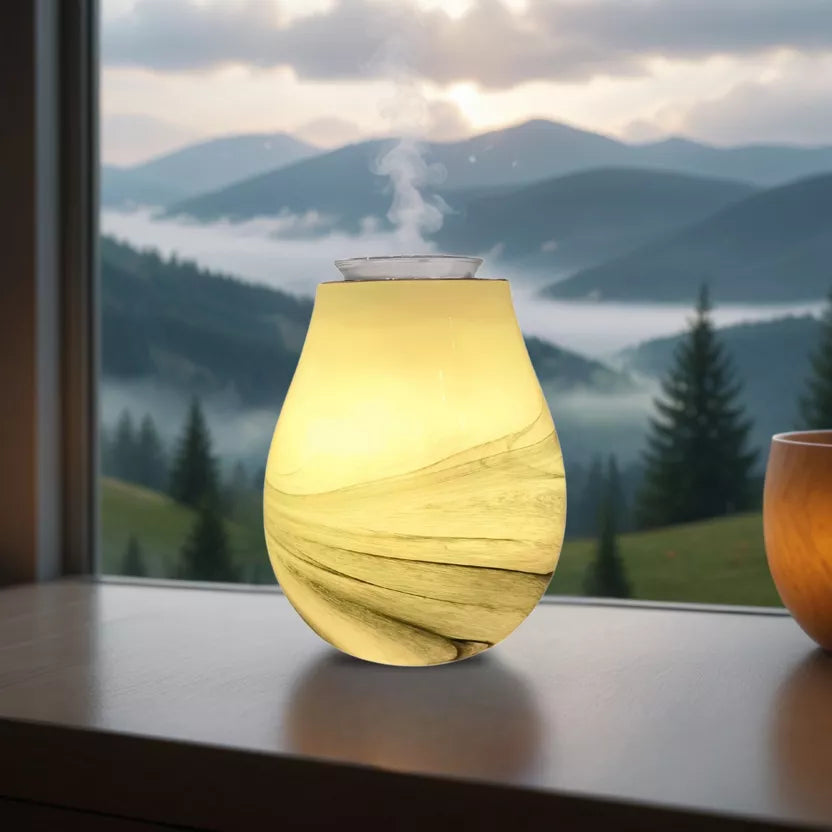 Brûleur électrique Calorya n°11