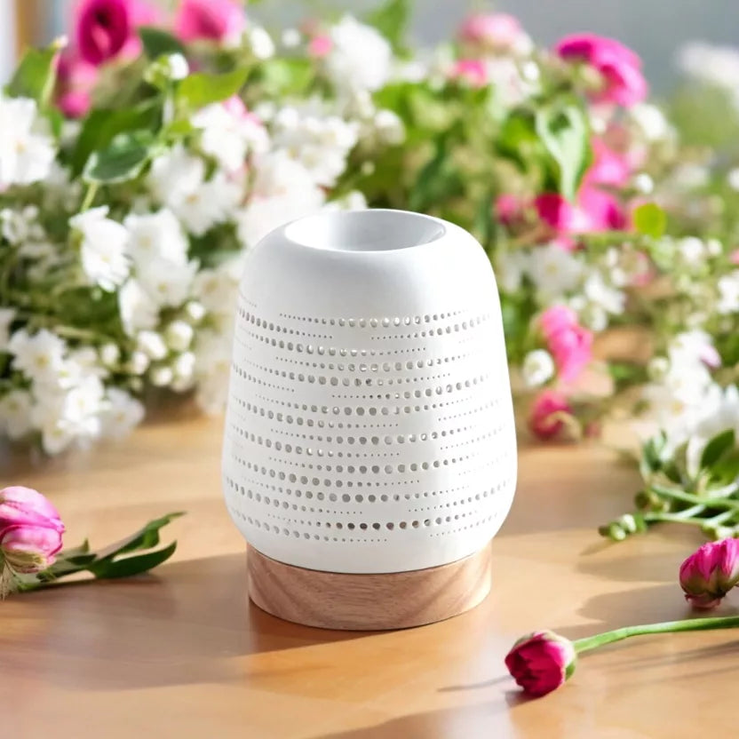 Brûleur électrique Calorya n°16