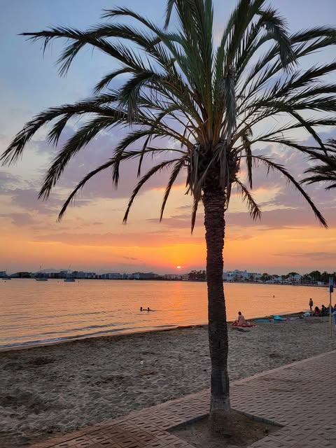PRECOMMANDE Fondant parfumé Coucher de soleil