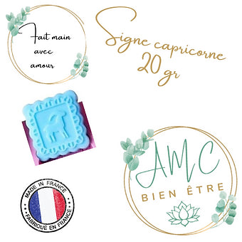 Fondant parfumé 20 gr capricorne