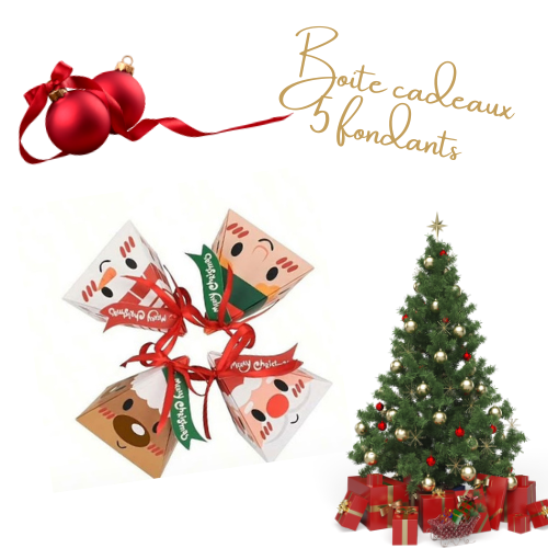 PRECOMMANDE boite 5 fondants