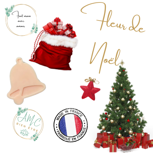 PRECOMMANDE Fondant parfumé Fleur de Noël