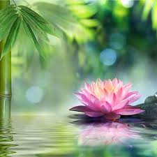 PRECOMMANDE Fondant parfumé Fleur de lotus