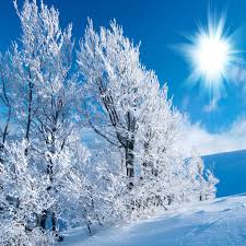 PRECOMMANDE Fondant parfumé Winter