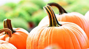 PRECOMMANDE Fondant parfumé Citrouille vanillée