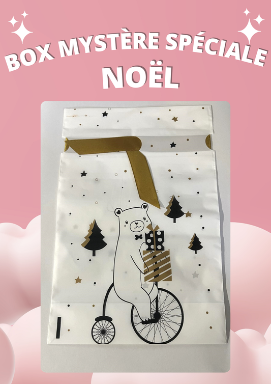 PRECOMMANDE Box mystère Noël