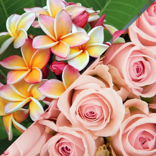 Fondant parfumé Monoï rosé