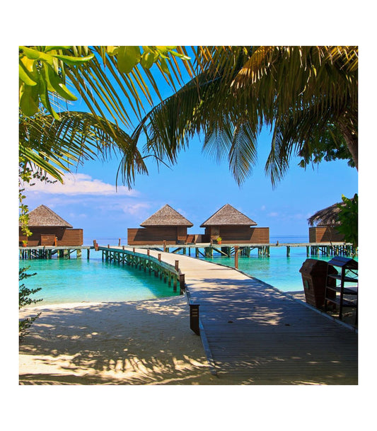 PRECOMMANDE Fondant parfumé Séjour aux Caraïbes