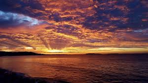 PRECOMMANDE Fondant parfumé  Soleil d’azur