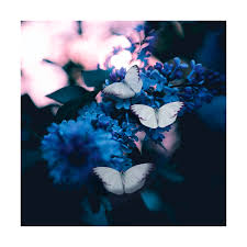 Fondant parfumé Enchantement