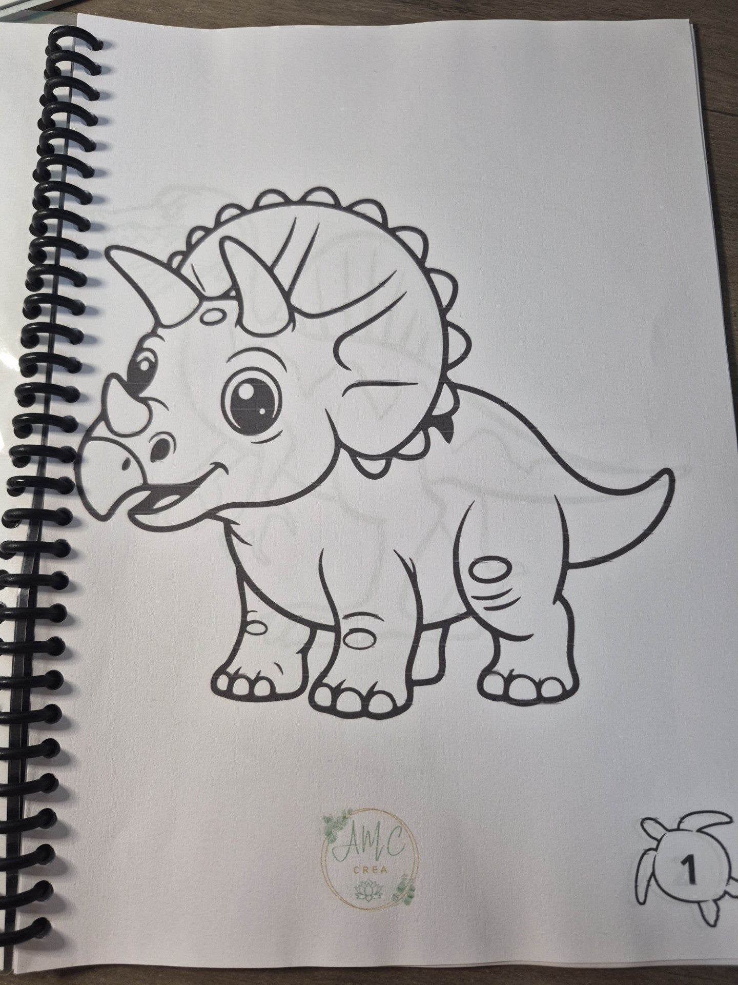 Livret de coloriage Les dinosaures
