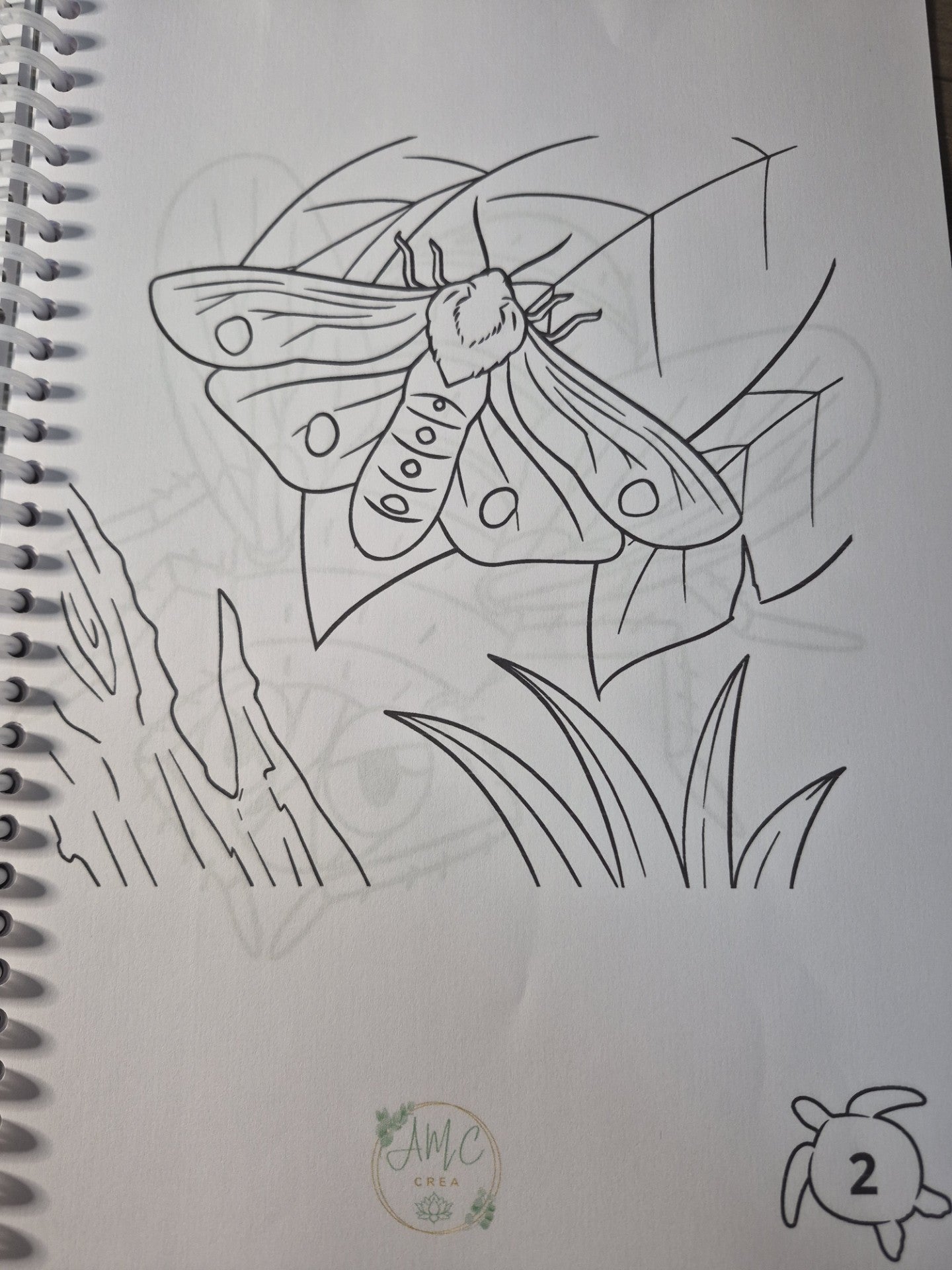 Livret de coloriage Les insectes